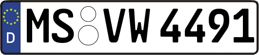 MS-VW4491