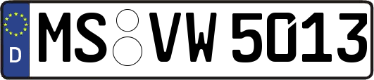 MS-VW5013