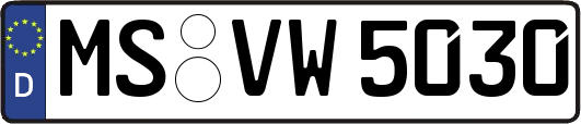 MS-VW5030