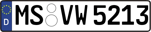 MS-VW5213