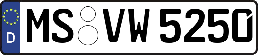 MS-VW5250