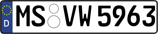 MS-VW5963