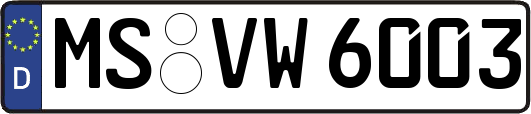 MS-VW6003