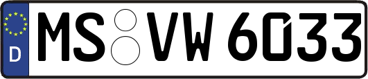 MS-VW6033