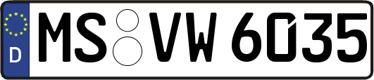 MS-VW6035