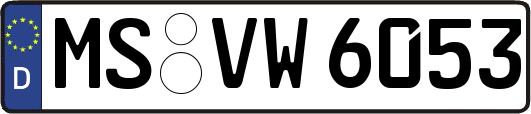 MS-VW6053