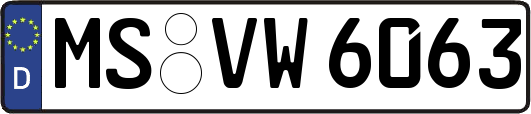 MS-VW6063