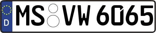 MS-VW6065