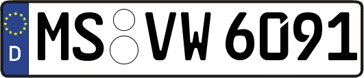 MS-VW6091
