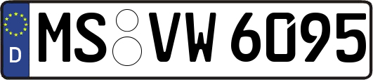 MS-VW6095