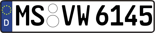 MS-VW6145