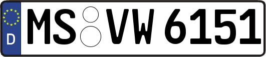 MS-VW6151