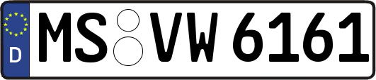 MS-VW6161