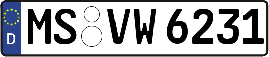 MS-VW6231