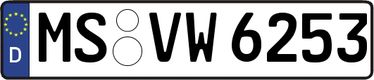 MS-VW6253