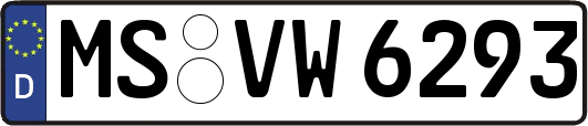 MS-VW6293