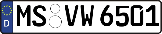 MS-VW6501