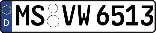 MS-VW6513