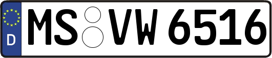 MS-VW6516