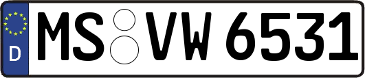 MS-VW6531