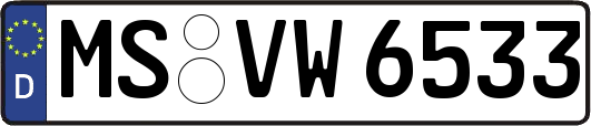 MS-VW6533