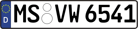 MS-VW6541