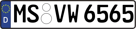 MS-VW6565