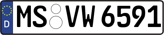 MS-VW6591