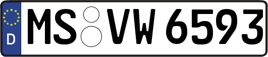MS-VW6593