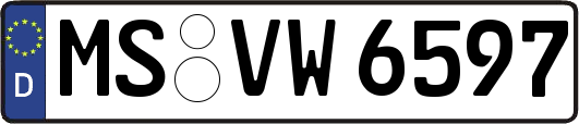 MS-VW6597