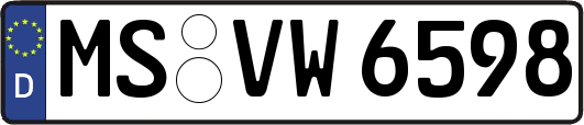 MS-VW6598