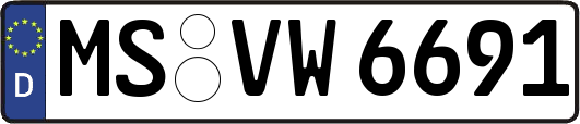 MS-VW6691