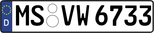 MS-VW6733