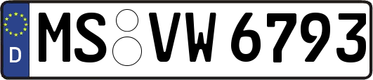 MS-VW6793