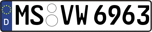 MS-VW6963