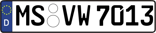 MS-VW7013