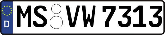 MS-VW7313