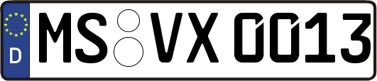 MS-VX0013