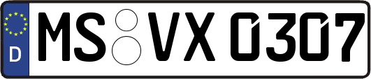 MS-VX0307