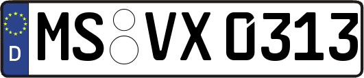 MS-VX0313