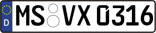 MS-VX0316
