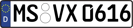 MS-VX0616