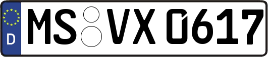 MS-VX0617