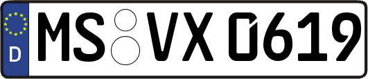 MS-VX0619