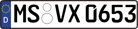 MS-VX0653