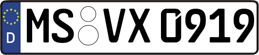 MS-VX0919