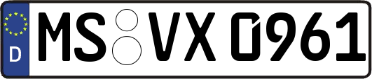 MS-VX0961