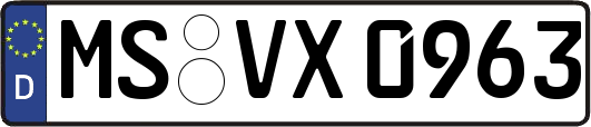 MS-VX0963