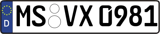 MS-VX0981