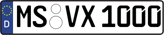 MS-VX1000